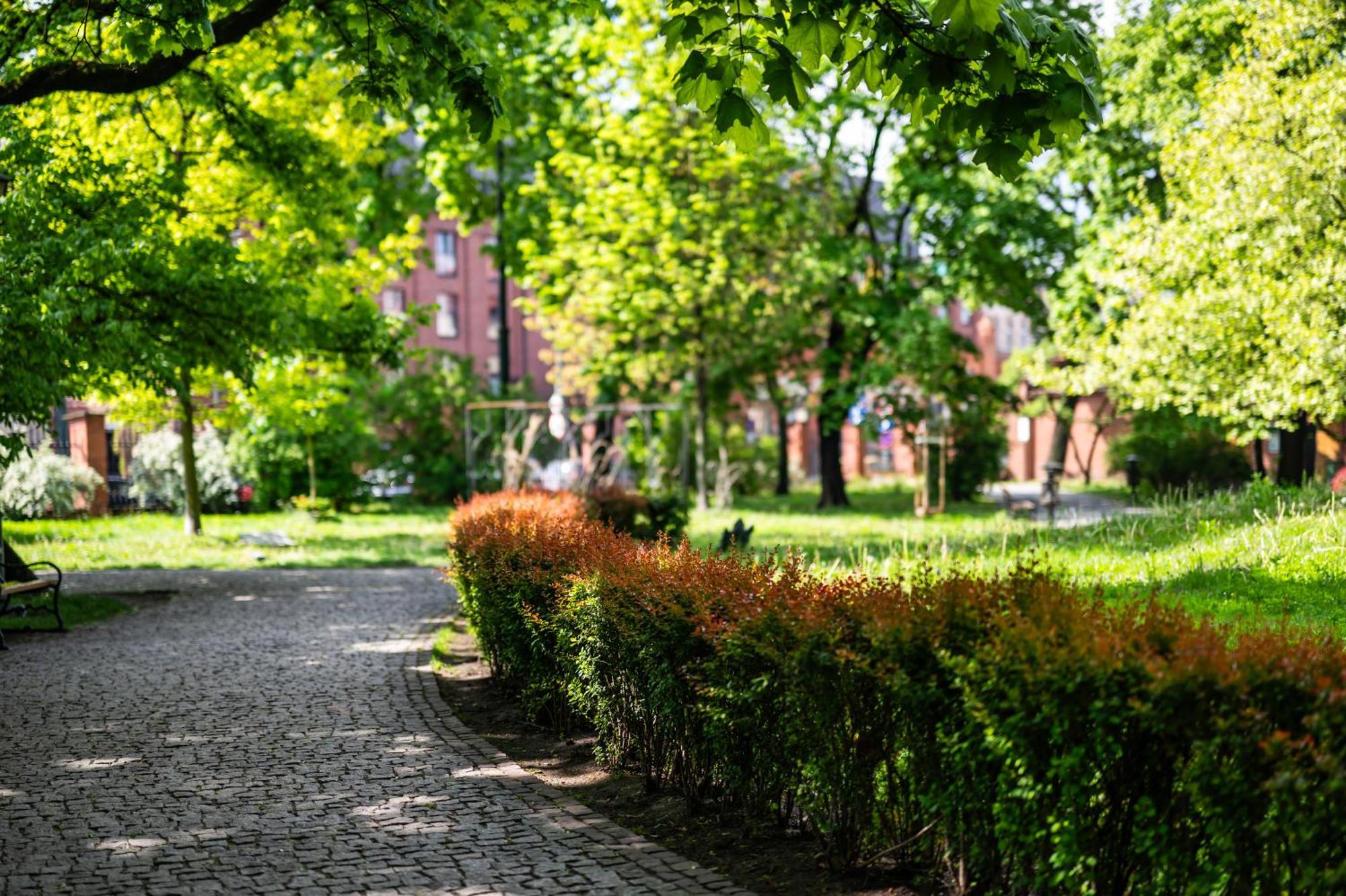 Katania Moxy Te&Am Cracow Apartment Krakow Bagian luar foto