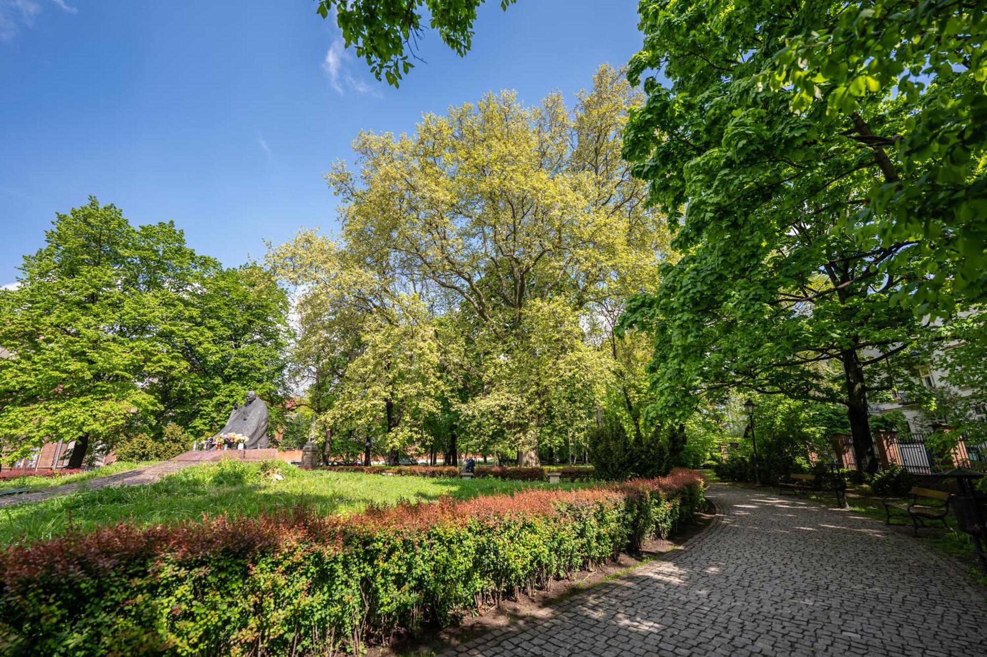 Katania Moxy Te&Am Cracow Apartment Krakow Bagian luar foto